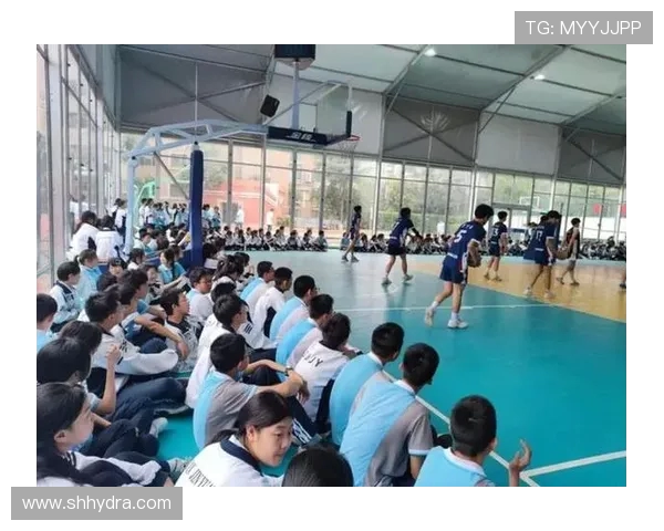 排球巨献：深入分析西安排球队的战术节奏与配合技巧