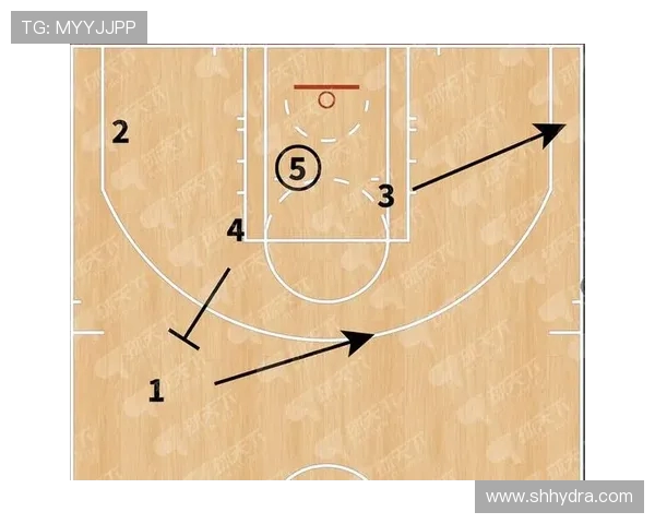 杭州排球队包夹战术解析与实战应用探讨