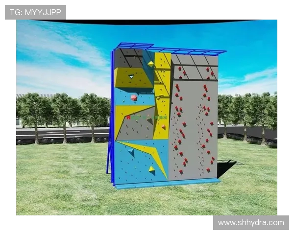 重庆攀岩队技术争议引发广泛热议攀岩运动未来发展方向探讨
