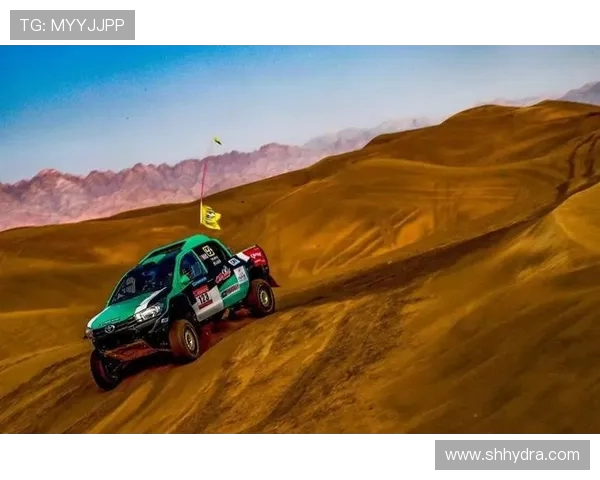 重庆排球队中路突破革新引领战术变革与竞技水平提升新篇章